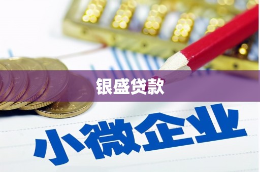 文安银盛贷款