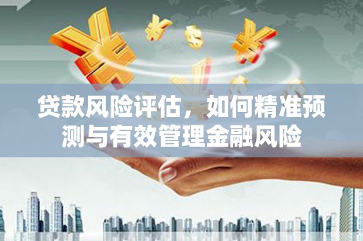 文安贷款风险评估，如何精准预测与有效管理金融风险