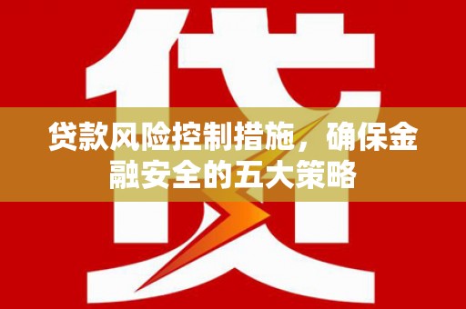 文安贷款风险控制措施，确保金融安全的五大策略