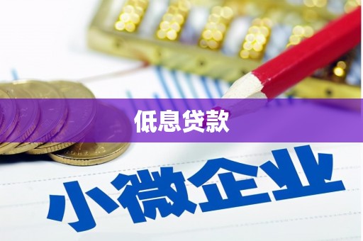 文安低息贷款