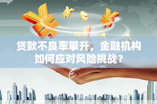 文安贷款不良率攀升，金融机构如何应对风险挑战？