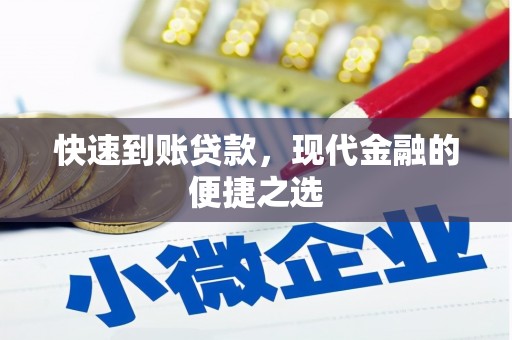 文安快速到账贷款，现代金融的便捷之选