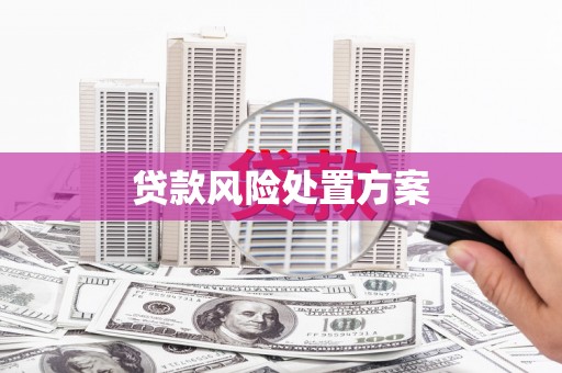 文安贷款风险处置方案