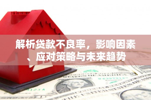 文安解析贷款不良率，影响因素、应对策略与未来趋势