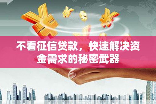 文安不看征信贷款，快速解决资金需求的秘密武器