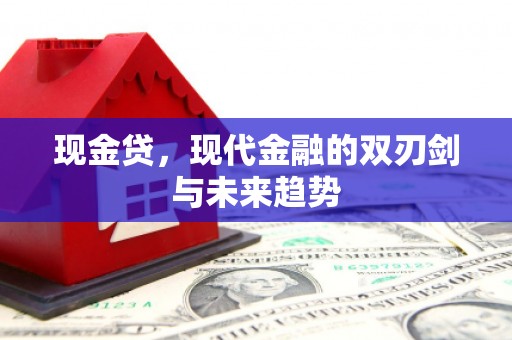 文安现金贷，现代金融的双刃剑与未来趋势