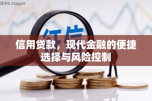 文安信用贷款，现代金融的便捷选择与风险控制