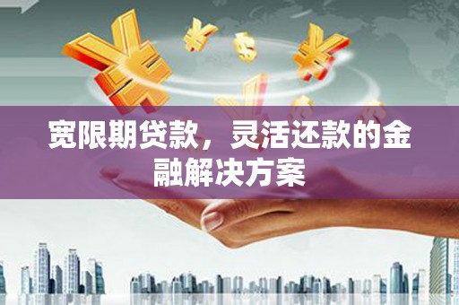 文安宽限期贷款，灵活还款的金融解决方案