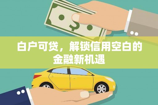文安白户可贷，解锁信用空白的金融新机遇