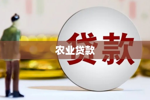文安农业贷款