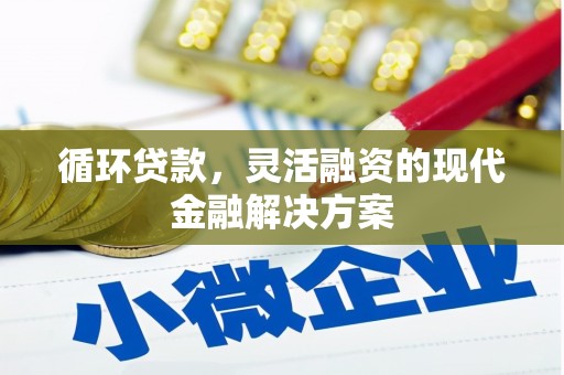 文安循环贷款，灵活融资的现代金融解决方案