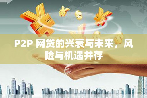 文安P2P 网贷的兴衰与未来，风险与机遇并存