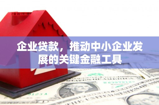 文安企业贷款，推动中小企业发展的关键金融工具