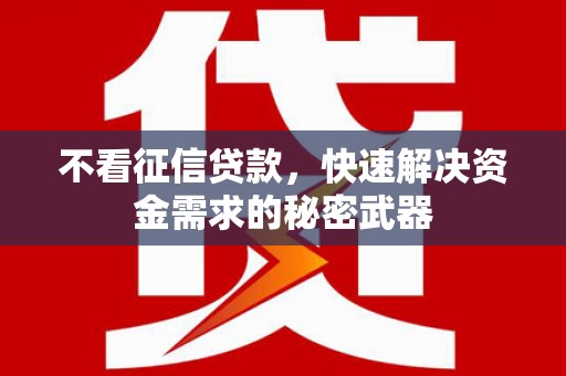 文安不看征信贷款，快速解决资金需求的秘密武器