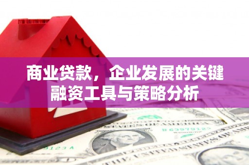 文安商业贷款，企业发展的关键融资工具与策略分析