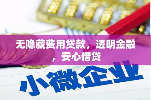 文安无隐藏费用贷款，透明金融，安心借贷