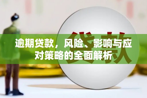 文安逾期贷款，风险、影响与应对策略的全面解析