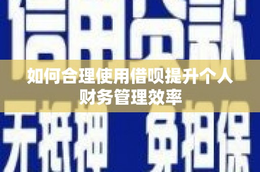 文安如何合理使用借呗提升个人财务管理效率
