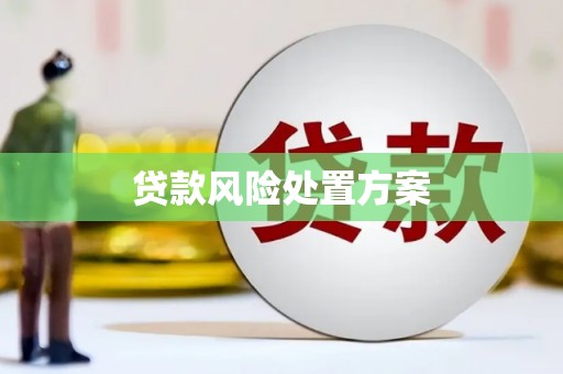 文安贷款风险处置方案