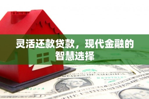 文安灵活还款贷款，现代金融的智慧选择