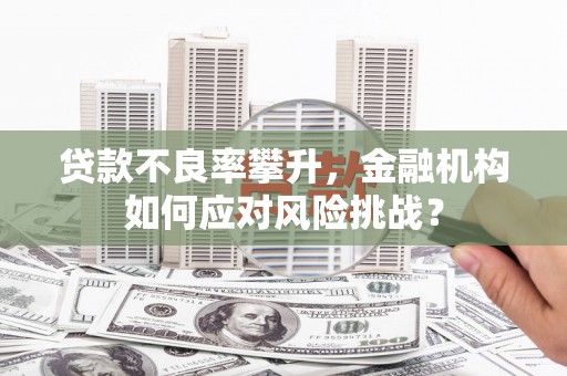文安贷款不良率攀升，金融机构如何应对风险挑战？