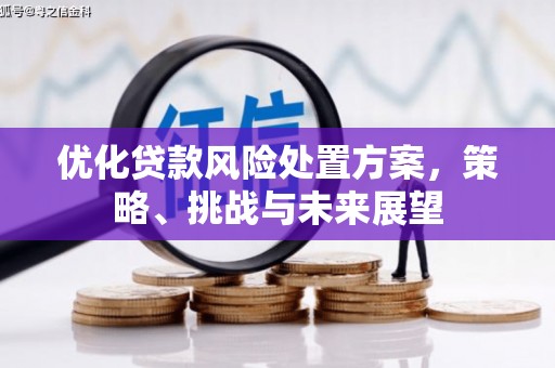 文安优化贷款风险处置方案，策略、挑战与未来展望
