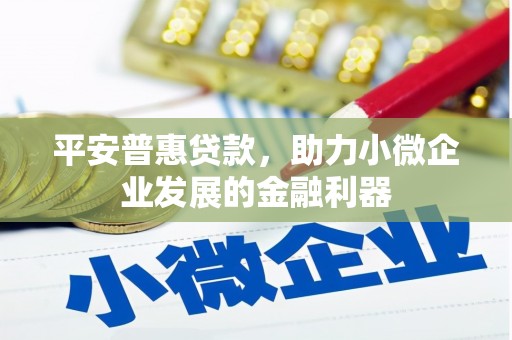 文安平安普惠贷款，助力小微企业发展的金融利器