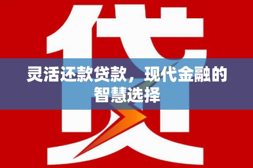 文安灵活还款贷款，现代金融的智慧选择