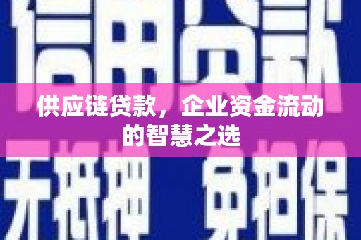 文安供应链贷款，企业资金流动的智慧之选