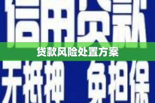 文安贷款风险处置方案