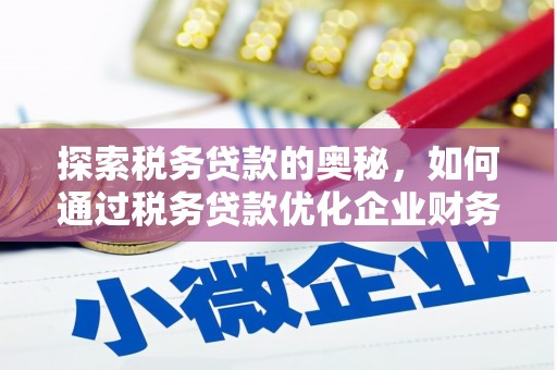 文安探索税务贷款的奥秘，如何通过税务贷款优化企业财务