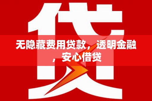 文安无隐藏费用贷款，透明金融，安心借贷