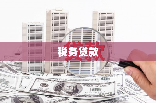 文安税务贷款