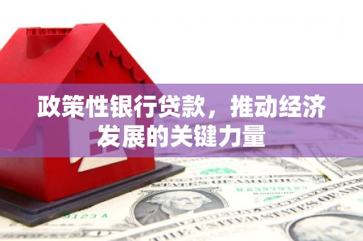 文安政策性银行贷款，推动经济发展的关键力量
