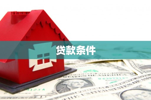 文安贷款条件