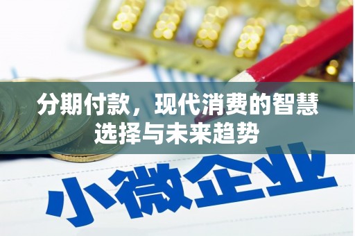 文安分期付款，现代消费的智慧选择与未来趋势