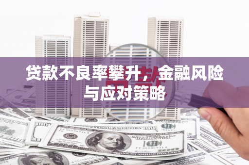 文安贷款不良率攀升，金融风险与应对策略