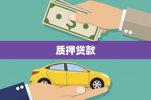文安质押贷款