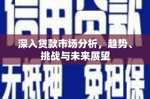 文安深入贷款市场分析，趋势、挑战与未来展望