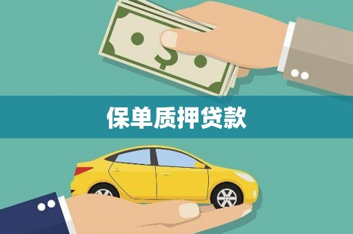 文安保单质押贷款