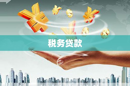 文安税务贷款