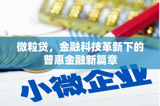 文安微粒贷，金融科技革新下的普惠金融新篇章