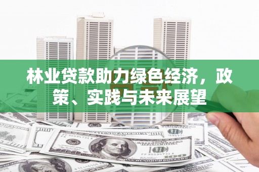 文安林业贷款助力绿色经济，政策、实践与未来展望