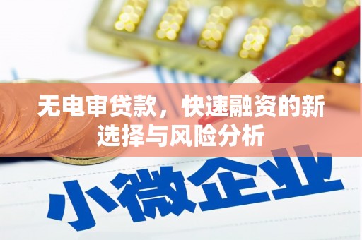 文安无电审贷款，快速融资的新选择与风险分析