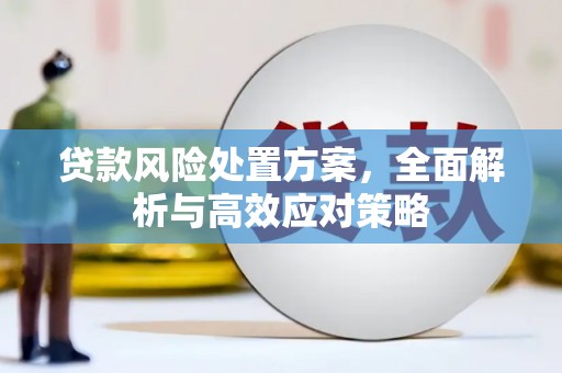 文安贷款风险处置方案，全面解析与高效应对策略