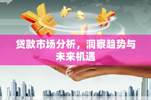 文安贷款市场分析，洞察趋势与未来机遇