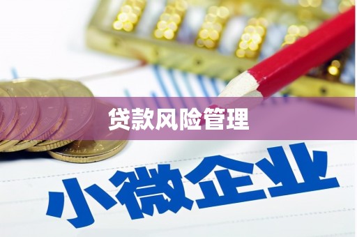 文安贷款风险管理