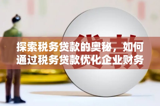 文安探索税务贷款的奥秘，如何通过税务贷款优化企业财务