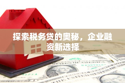 文安探索税务贷的奥秘，企业融资新选择