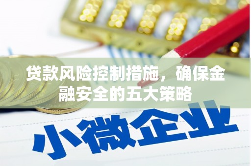 文安贷款风险控制措施，确保金融安全的五大策略